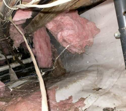 Damage to insulation in crawlspace